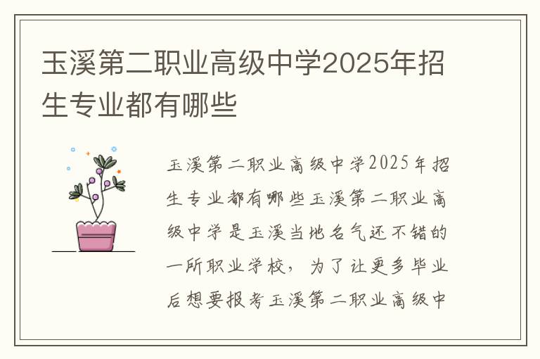 玉溪第二职业高级中学2025年招生专业都有哪些