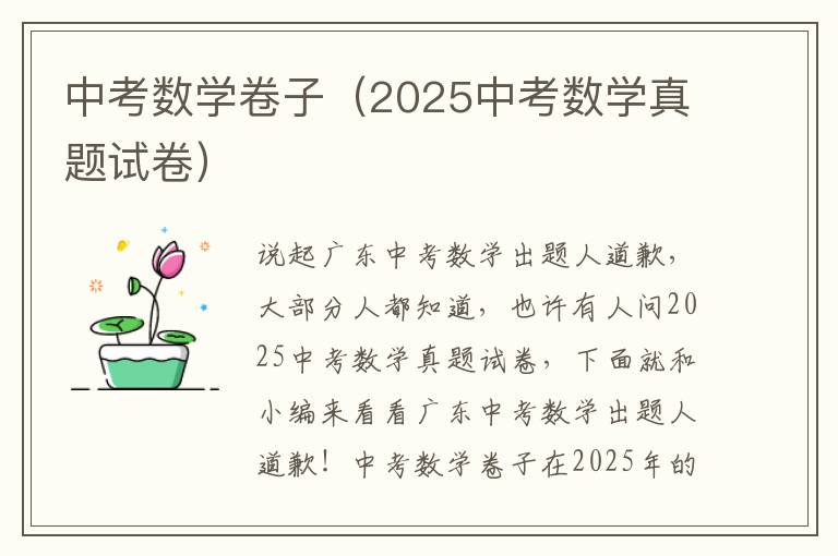 中考数学卷子（2025中考数学真题试卷）