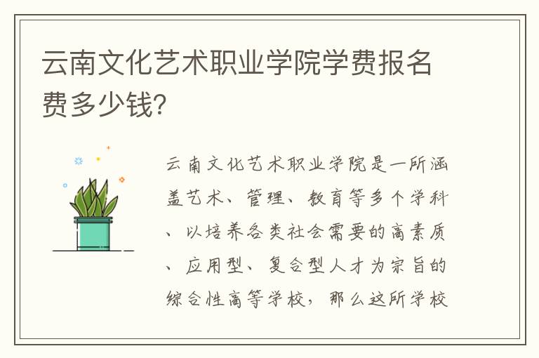 云南文化艺术职业学院学费报名费多少钱？