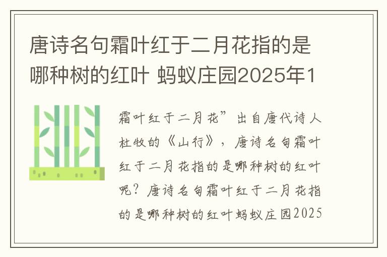 唐诗名句霜叶红于二月花指的是哪种树的红叶 蚂蚁庄园2025年10月2日答案公布