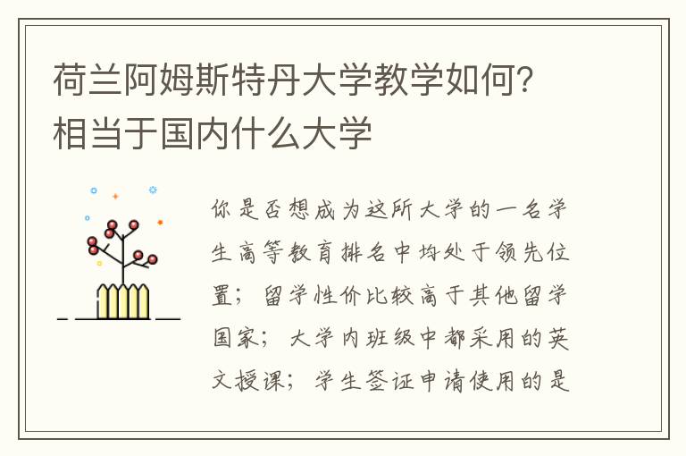 荷兰阿姆斯特丹大学教学如何？相当于国内什么大学