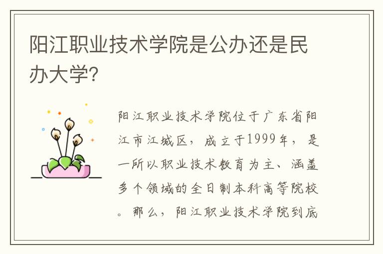 阳江职业技术学院是公办还是民办大学？