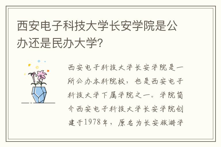 西安电子科技大学长安学院是公办还是民办大学？