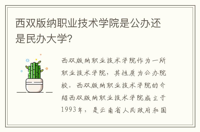 西双版纳职业技术学院是公办还是民办大学？