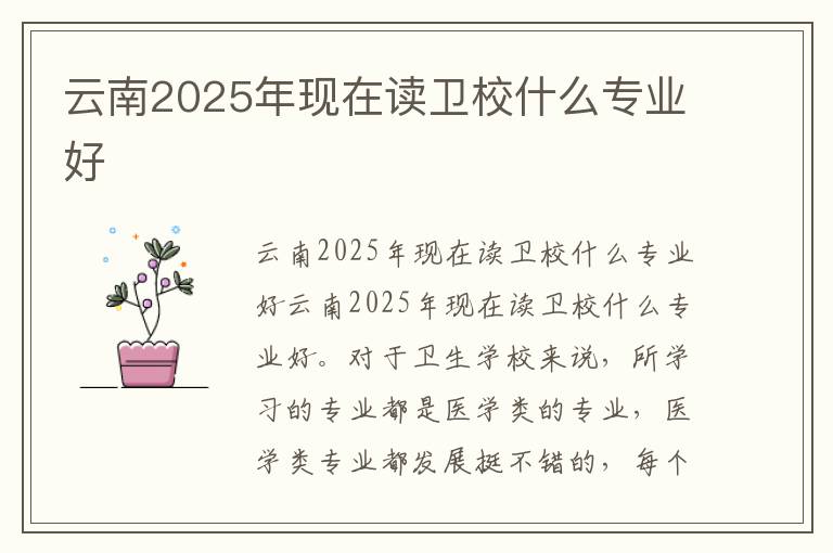 云南2025年现在读卫校什么专业好